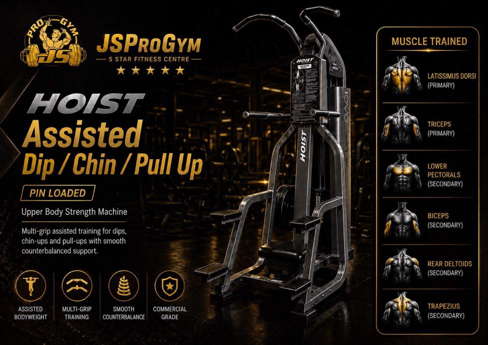 Bicep & Tricep — JSPROGYM
