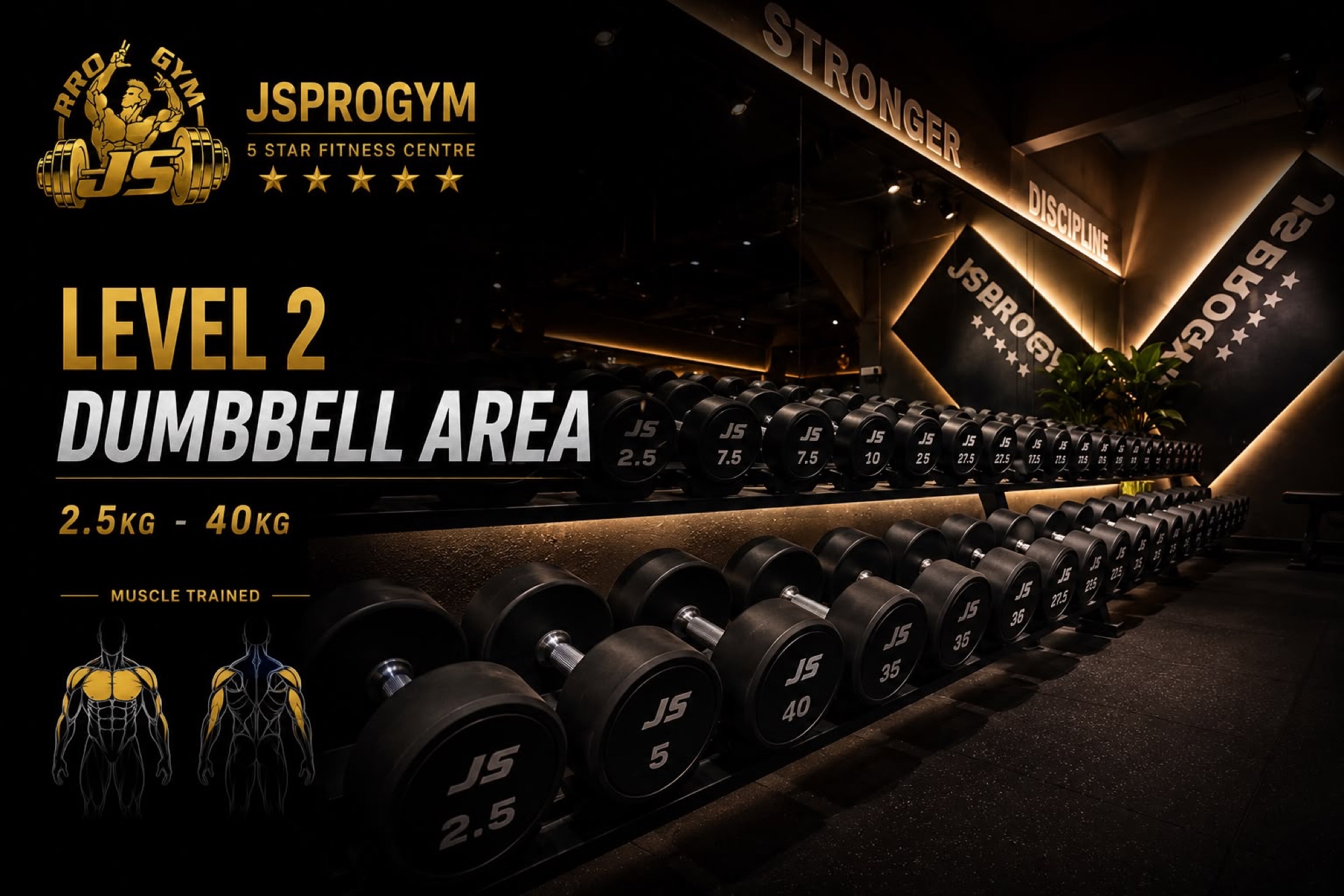 Dumbbell Area — JSPROGYM