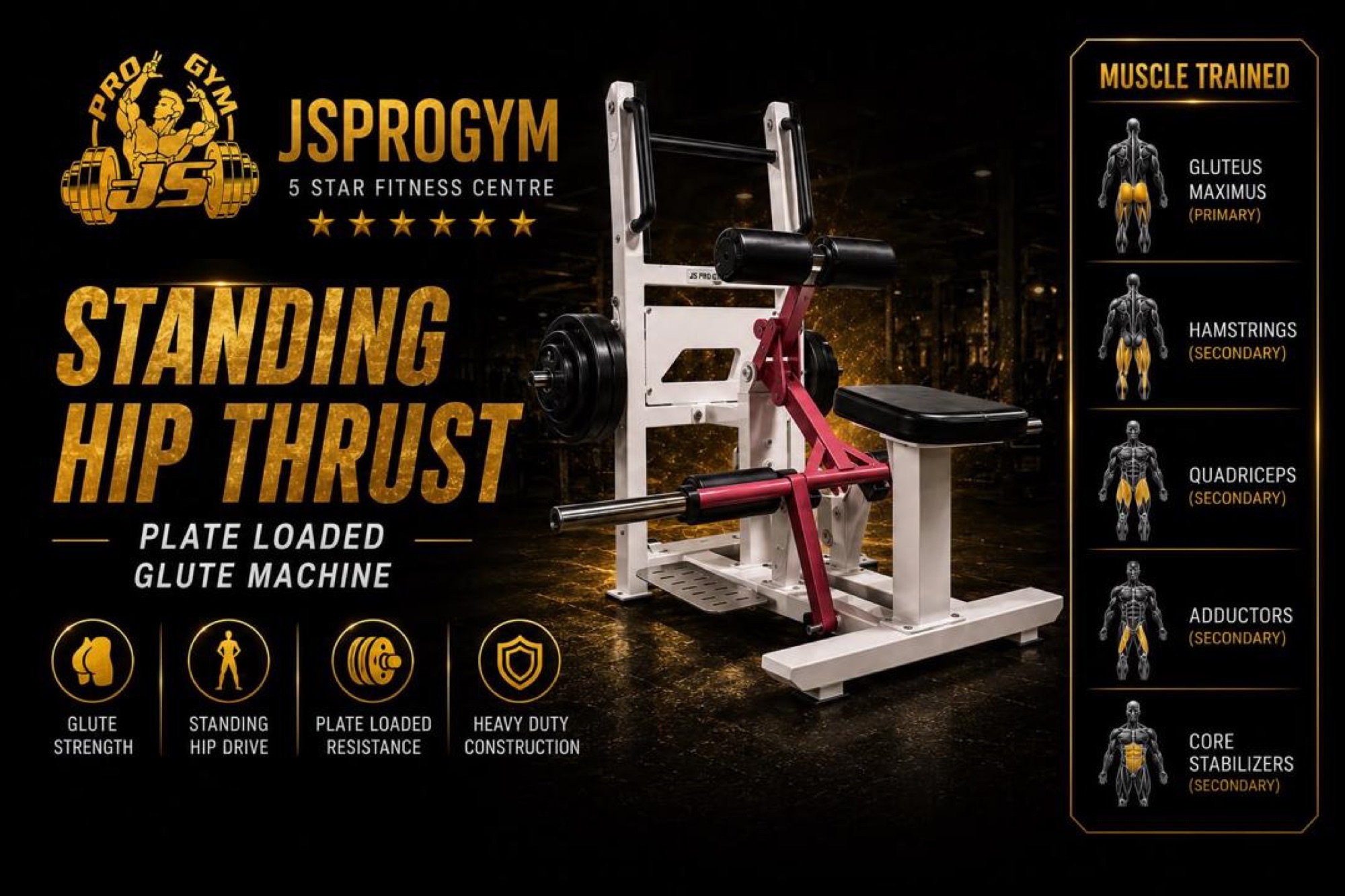ladies-area — JSPROGYM